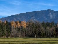Unterberghorn mit herbstlichen Berglärchen davor